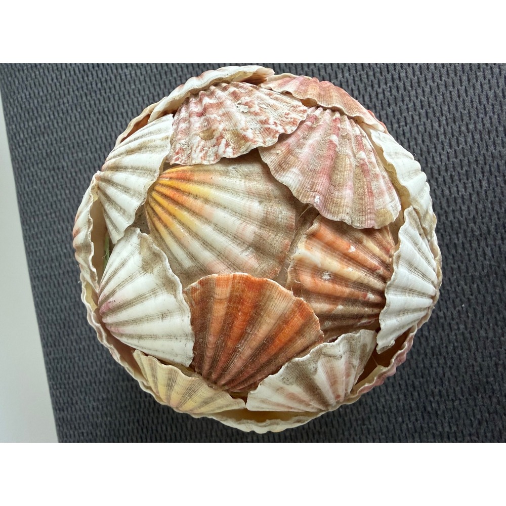 Handmade Natural Scallop Seashell Decorative Orb Sphere 6 in Coastal Beach Home - Picture 5 of 11